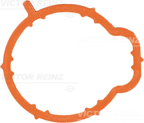 Gasket, intake manifold